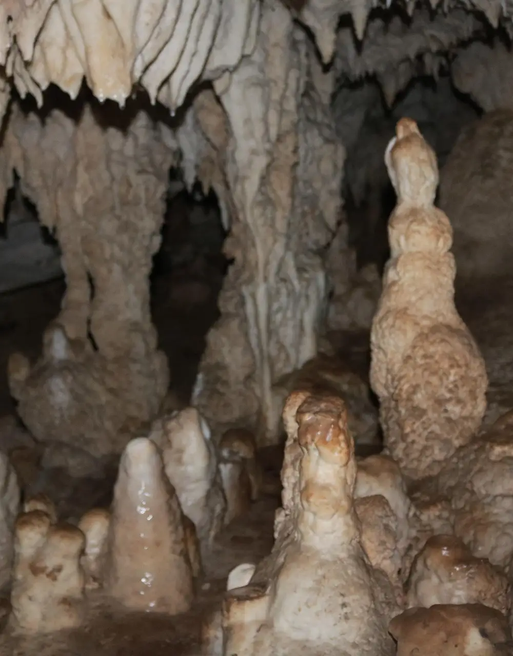 Grotte Marie-Jeanne 2